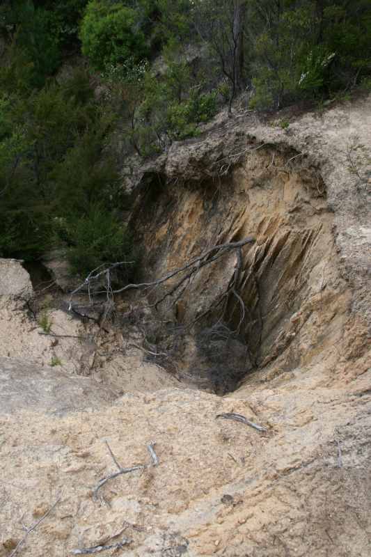 Nieuw-Zeeland 2011 - 1054